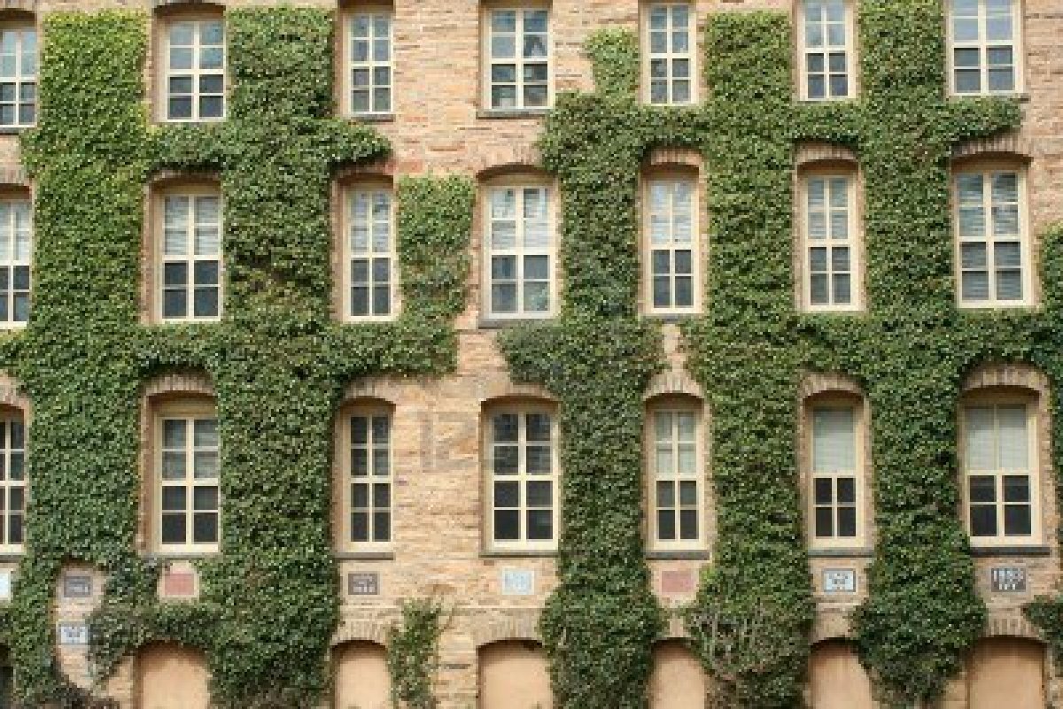 Princeton
