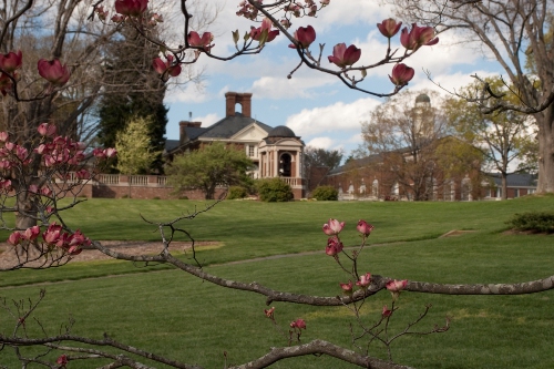 SweetBriar
