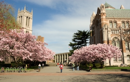 UWashington