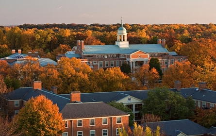 wakeforest