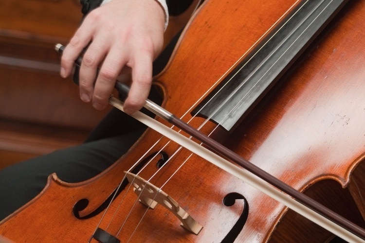 Noon Concert: Cello Students of Stephen Harrison