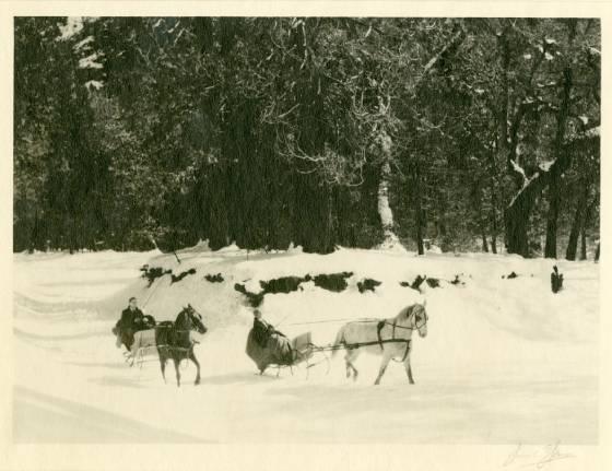 Untitled (Sleighs)