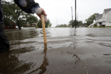 A person holds a ruler in water on a flooded street