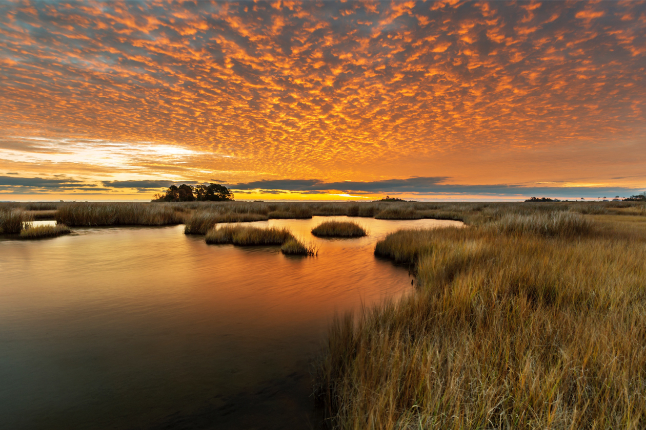 The sky is illuminated in orange as the sun sets over a marsh.