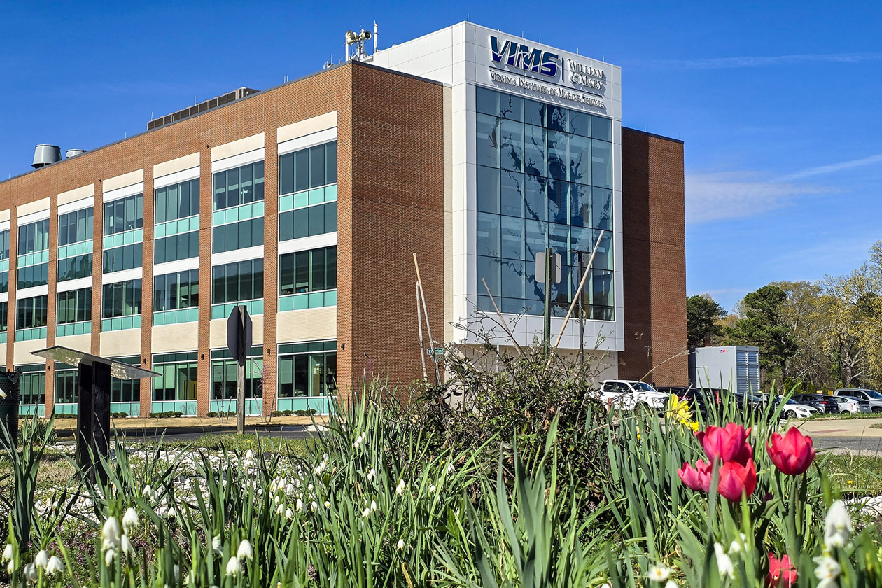 Flowers grow in front of a large building with an image of the Chesapeake Bay on the side.