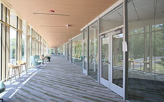Long sun-lit walkway with intimate work spaces and entrances to offices through the recently expanded Sadler Center