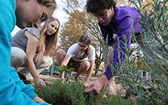 Students working in the community garden