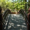 Photo of the Crim Dell Bridge