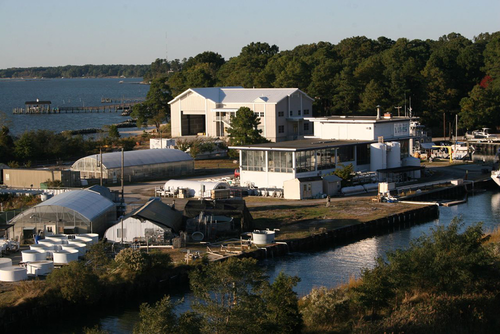 Batten School & VIMS - Marine Operations Boat Basin