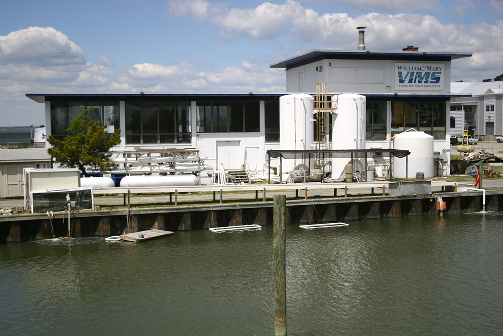 Batten School & VIMS - Oyster Hatchery