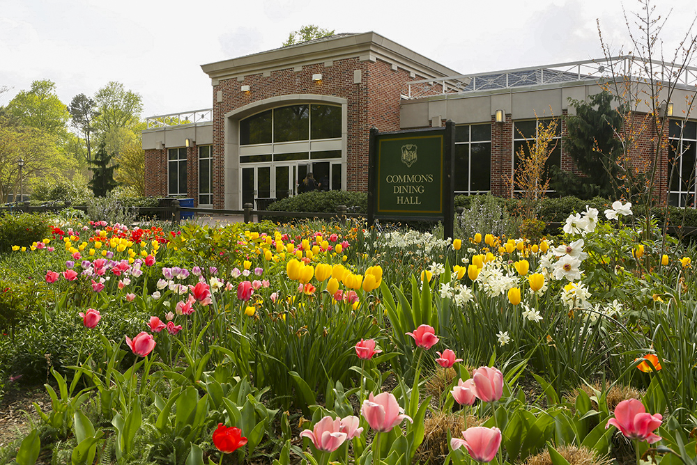 Commons Dining Hall