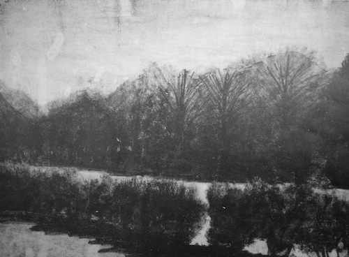 Jillian Gibson, 'Sunken Garden,' Lithograph