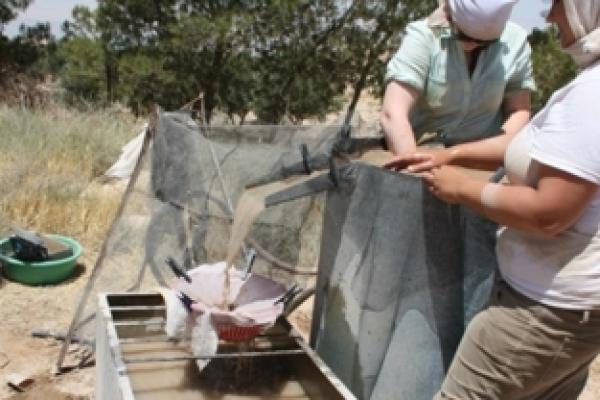 Mechanized Floatation Tutorial for Research Participation June 15 - August 11