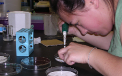 cottenlab3