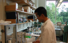 cottenlab6
