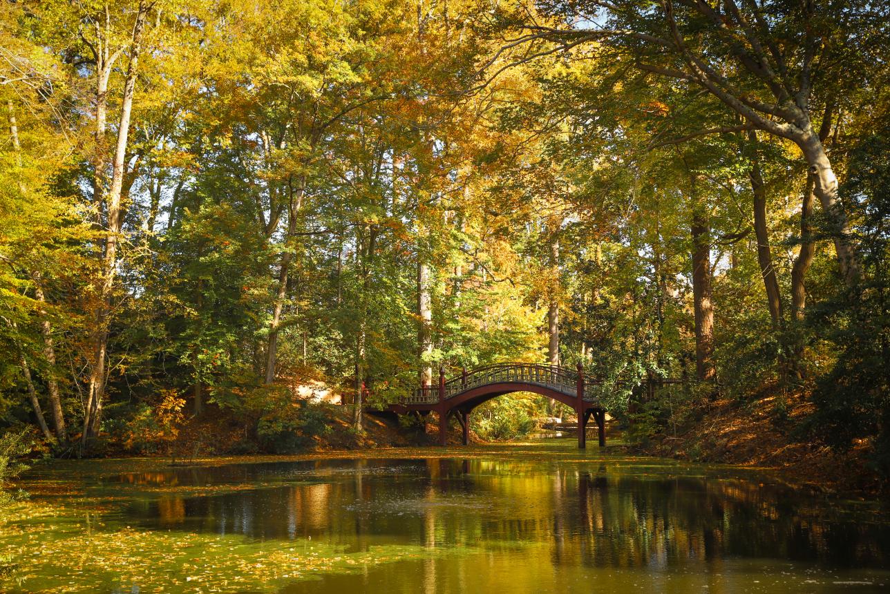 Crim Dell at William & 玛丽 in the Fall