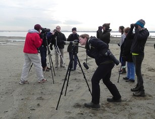Ornithology Class field trip on the shore - Spring 2014