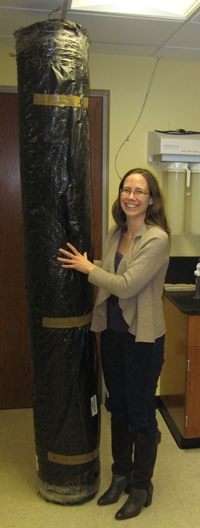 Fences must be over 7 feet high to keep deer out. Dr. Dalgleish is shown for scale.