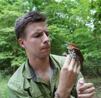 Vitik Jirinec with Wood Thrush