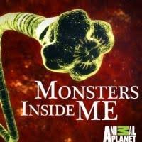 Animal Planet logo