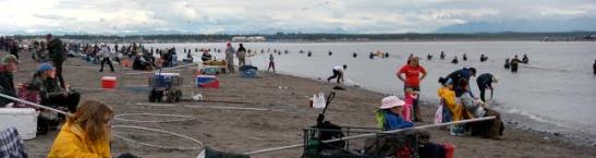 Kenai, Alaska, where locals dip their nets to catch salmon that are swimming-up river to spawn. Photo by Patty Zwollo