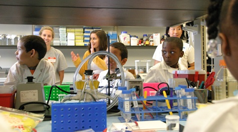 In the laboratory, cont.
