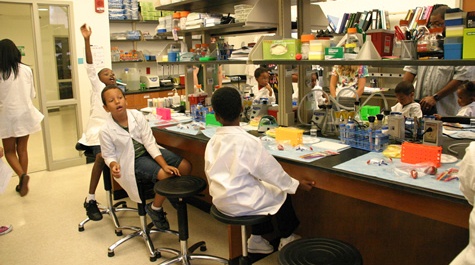 In the laboratory, cont.