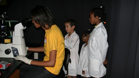 Looking through the florescent microscope