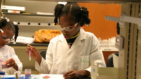 Open Lab, cont.