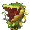 Seymore