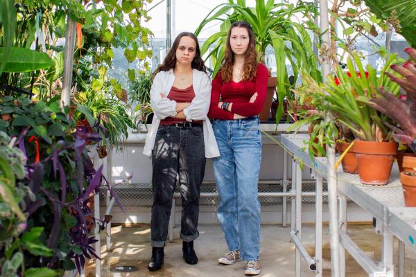 greenhouse news thumb