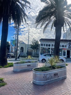 History and government double-major Sarah Devendorf '25 traveled to San Francisco, where she reported on hostile architecture, property rights, and housing development. (Photo by Sarah Devendorf)