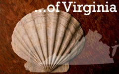 Virginia