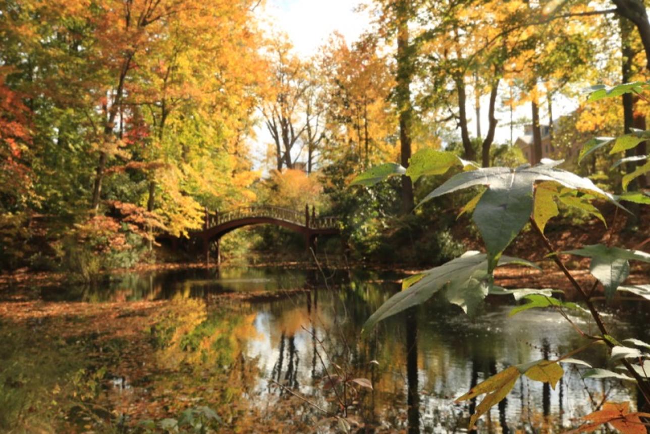 William & 玛丽's Crim Dell Bridge in the Fall
