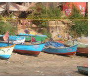 goa-collage1.jpg