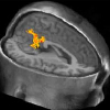 Neuroscience Symposium 2006