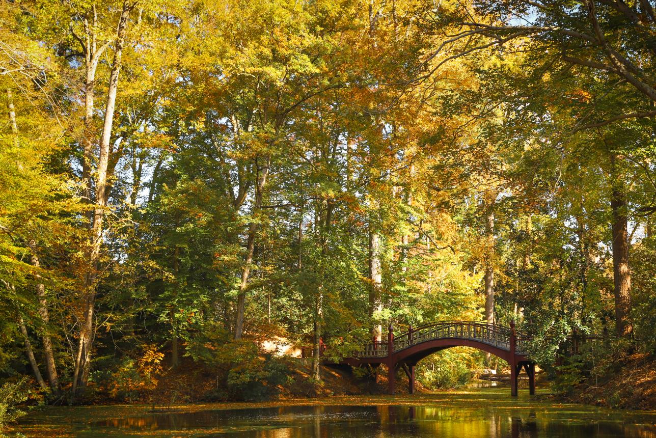 William & 玛丽's Crim Dell Bridge in the Fall