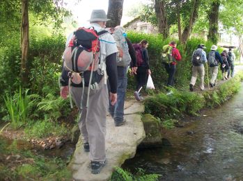 Group on the Camino de Santiago 