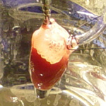 MCP Lab image