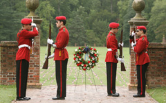 Queens' Guard Widget