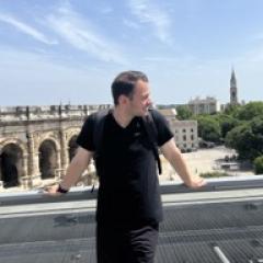 Sylvain N. Chassagneux