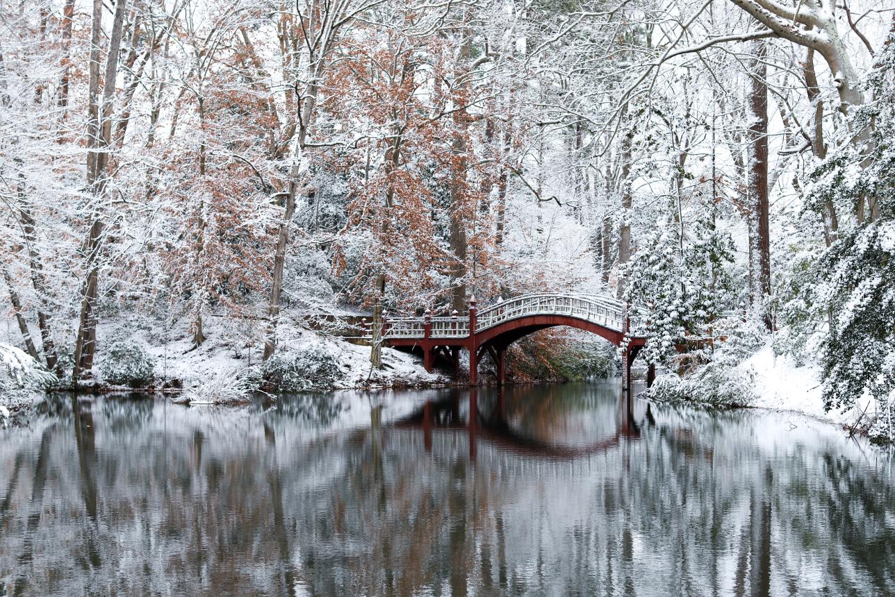 The William & 玛丽 Crim Dell bridge in the snow