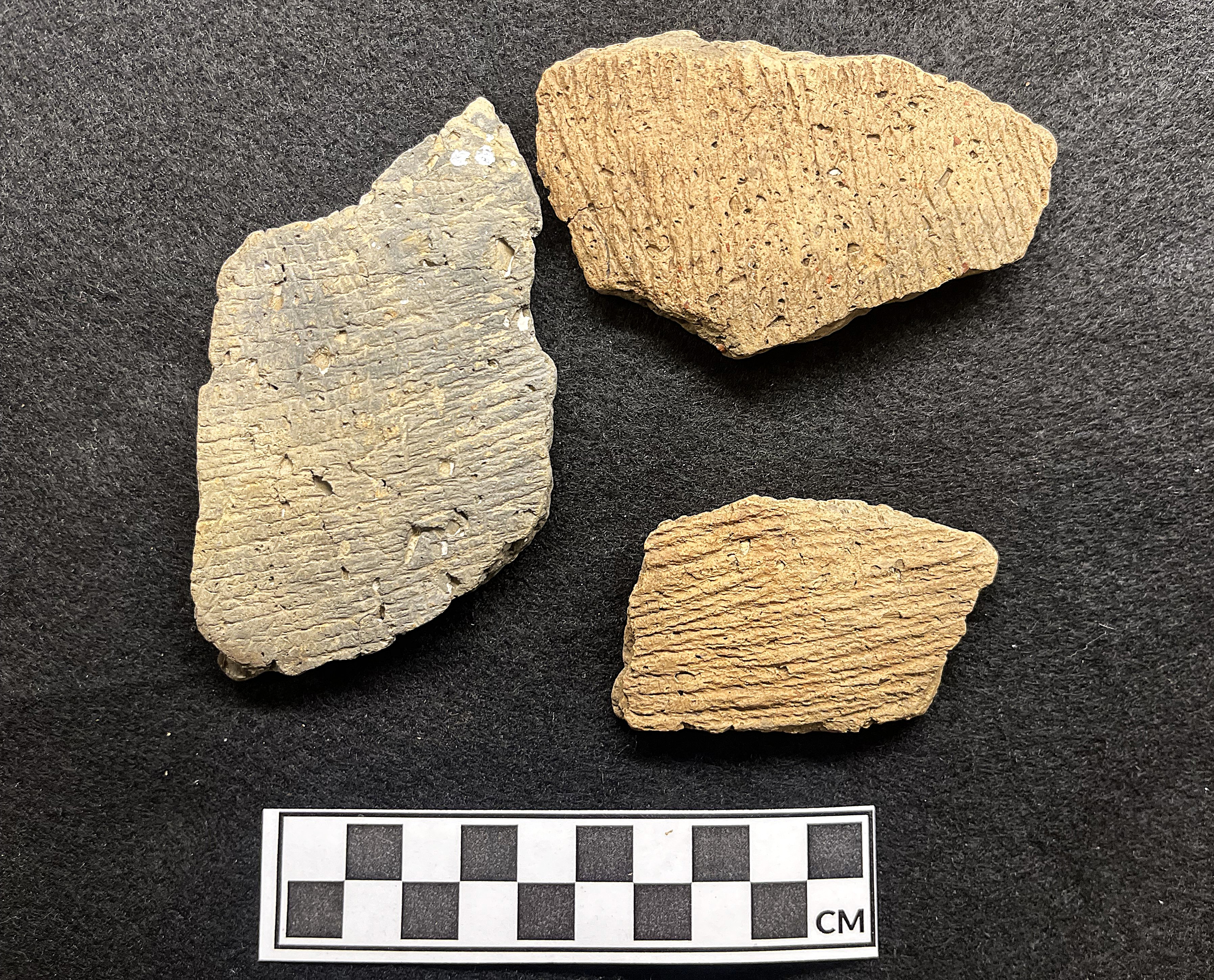 Fragments of Mockley ceramics (Photo provided by Martin Gallivan)