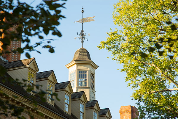 Weathervane image instead of picture of Dylan Gurl