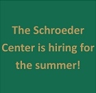 Hiring Logo