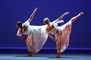 2024-orchesis