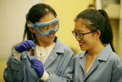 Master’s student Dan Liu and Wanji Zhang ’15 discuss electrochemical properties of a catalyst being tested for potential use in artifical photosynthesis the the McNamara lab. | Photo by Stephen Salpukas