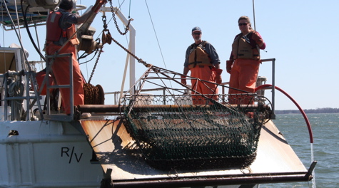 VIMS Dredge Survey team: