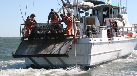 Dredge Retrieval: