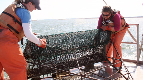 Emptying the Dredge:
